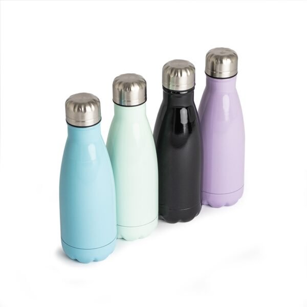 Garrafa 540ml inox